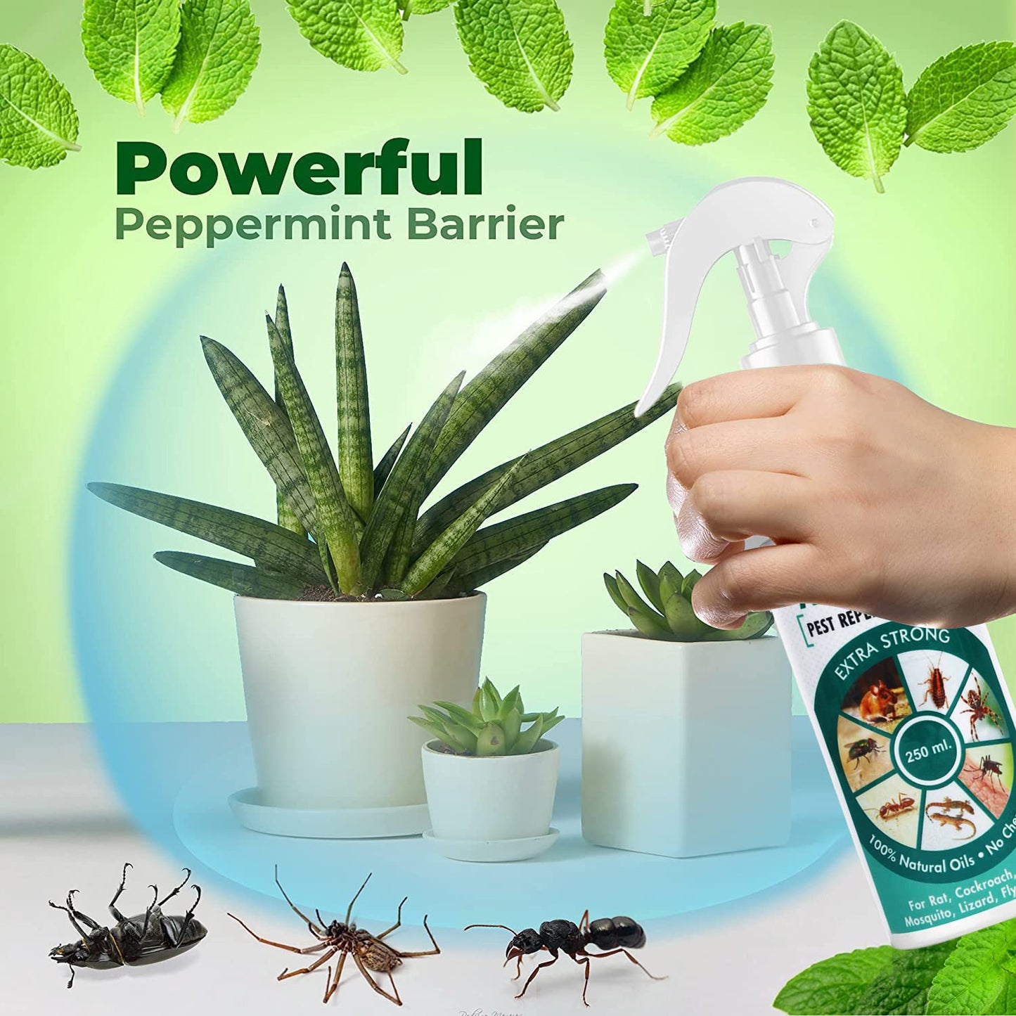 VRPRIME Pest Repellent Control for Home | Ant, Cockroach, Rat, Lizard, BedBugs, Spider